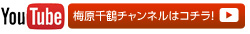 YouTube@[`[u@~̓`l̓R`I